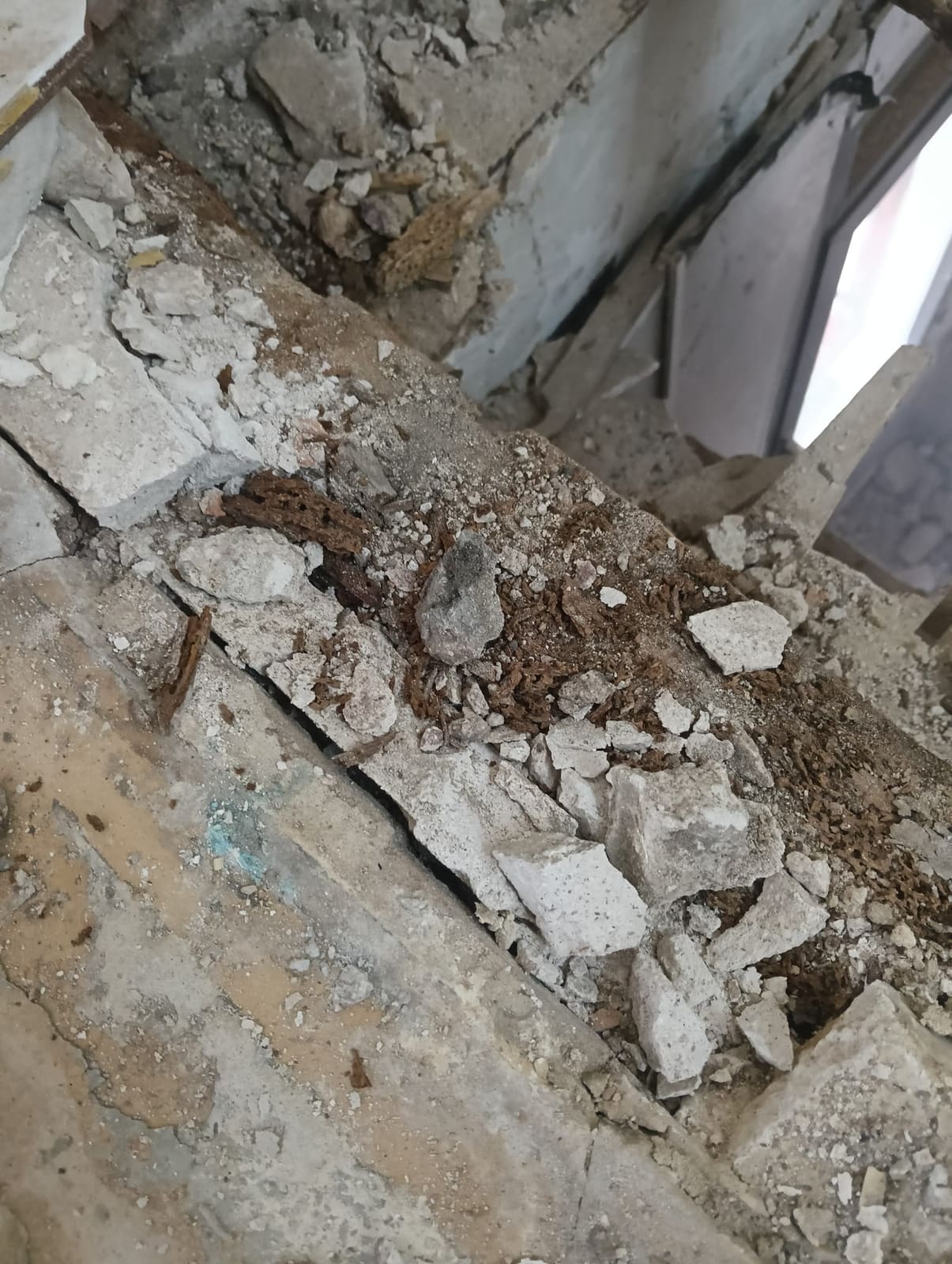 Viguetas de madera podridas descubiertas al levantar el suelo de un edificio antiguo
